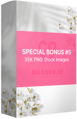 bonus5_optimized